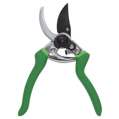 Sécateur forgé 200 mm lames courbes - PRSFC08 - Ribiland