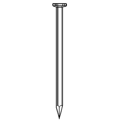 Pointe lisse en vrac tête plate (TP) 3,1 x 60 mm 1 Kg - Fixtout