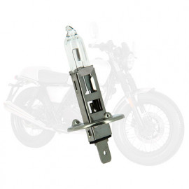 Ampoule moto H1 - 12 V - P14,5s - 55W - Feux de route - Feux de croisement - Feux antibrouillard - Michelin