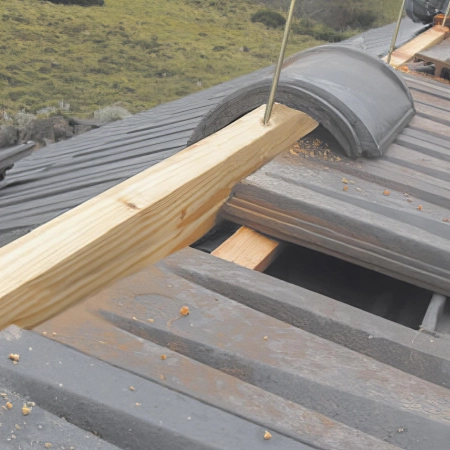 50 Vis à bois double filet pour isolation de toitures D. 7 x 460 mm