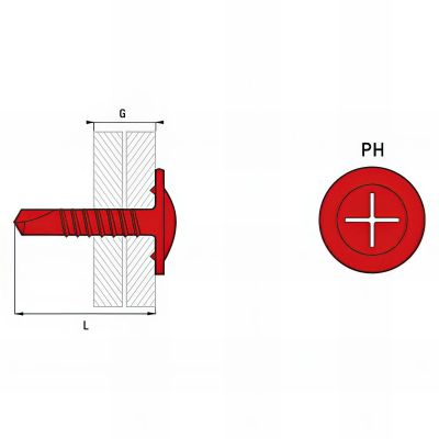 500 vis autoperceuses tête ronde large, acier zingué blanc, PH2 - 4.2 x 32 mm 2