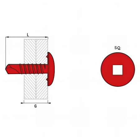 250 vis autoperceuses tête ronde large, acier zingué blanc, SQ2 - 4.8 x 25 mm