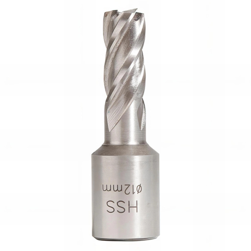 Fraise HSS Weldon 19 mm hauteur 25 mm D. 13 mm - 20598201 - Sidamo