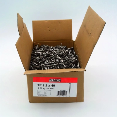 Pointe lisse en vrac tête plate (TP) 2,2 x 40 mm - 2,5 Kg - TP220401 Alsafix 2