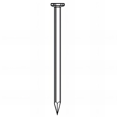 Pointe lisse galvanisée à chaud (HDG) en vrac tête plate (TP) 6,0 x 160 mm - 5 kg - TP601605 Alsafix