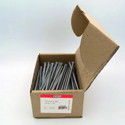 Pointe lisse galvanisée à chaud (HDG) en vrac tête plate (TP) 6,0 x 160 mm - 5 kg - TP601605 Alsafix 2