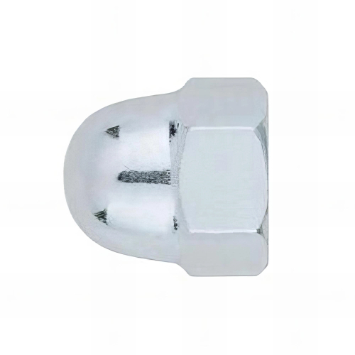 25 écrous borgnes à calotte - M16