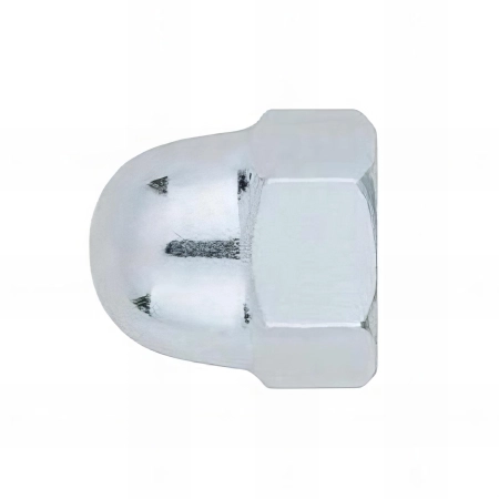 25 écrous borgnes à calotte - M16