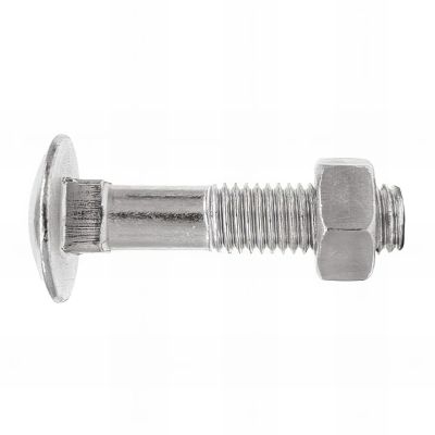 10 vis tête ronde M12 x 260 mm à collet carrées et écrou hexagonal, zingué