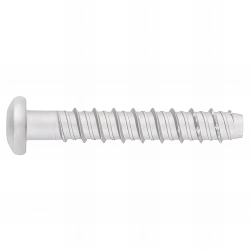 25 vis à béton D. 8 x 60 mm tête bombée homologuées ETE option 1 atlantis C3-H