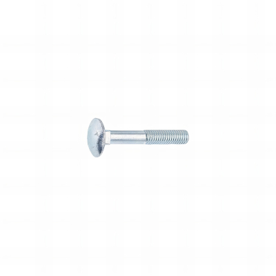 150 Vis JapyTête ronde collet carré Z. Vrac 10 X 170 mm