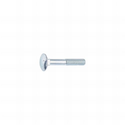 150 Vis JapyTête ronde collet carré Z. Vrac 10 X 170 mm