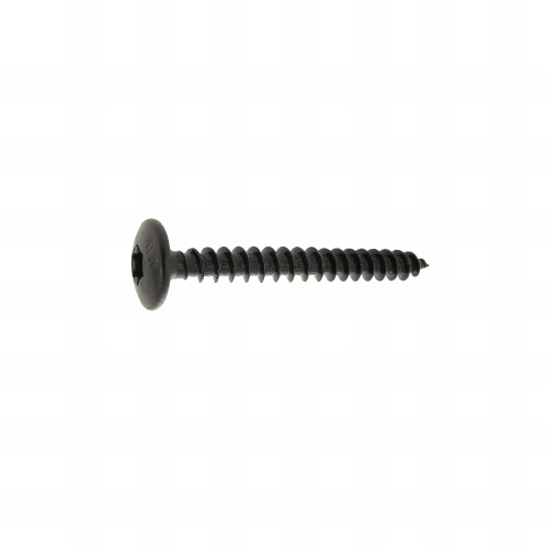 50 vis penture torx acier zingués noir - diamètre 6 mm