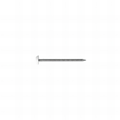 Pointe annelee inox a4 tete blanche - 2x 40 - (bp 250) boite 250 pcs