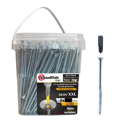 Seau XXL 200 Vis Torx30 Agglo ttap Fp Zinguée 6mm