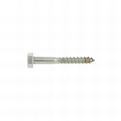 10 Vis Bois tête hexagonale DIN571 inox A2 - diamètre 6 mm