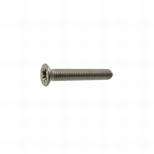 10 Vis métaux tête fraisée pozidriv DIN965 A4 - diamètre 6 mm