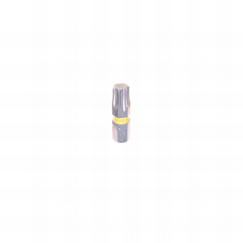 10 Embouts Bague Torx longueur : 25mm