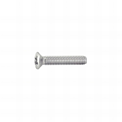 200 vis métaux tête fraisée bombée pozidriv DIN966 A2 5.0 X 20