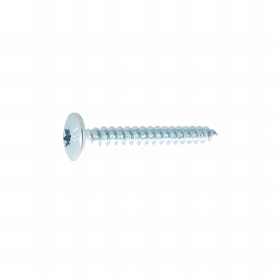 100 Vis Penture Torx acier zingués blanc - Diamètre 6 mm