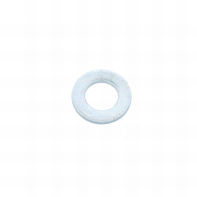 100 Rondelles plates ZU