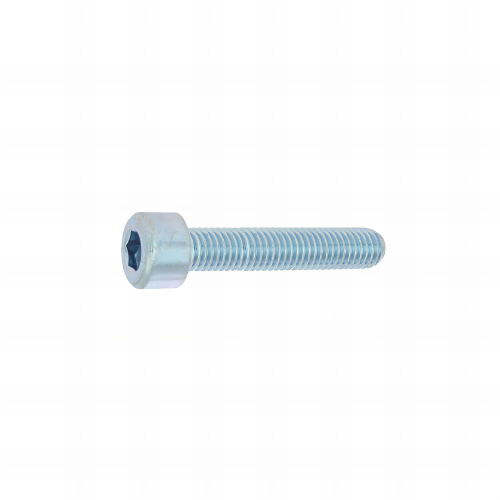 50 Vis métaux cylindriques hexagonales creuse DIN912 acier zingués blanc 8,8 - diamètre 12 mm