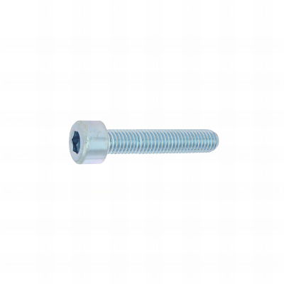 100 Vis métaux cylindriques hexagonales creuse DIN912 acier zingués blanc 8,8 - diamètre 14 mm
