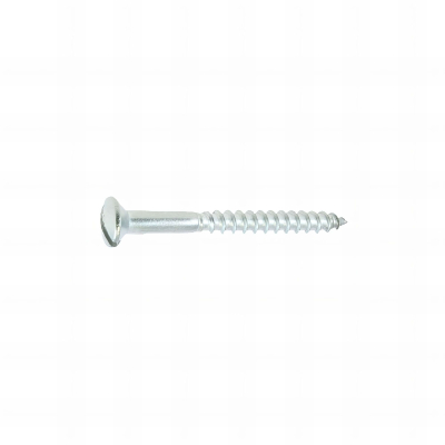 50 Vis Bois tête fraisée bombée fendue DIN95 A2 - diamètre 5 mm