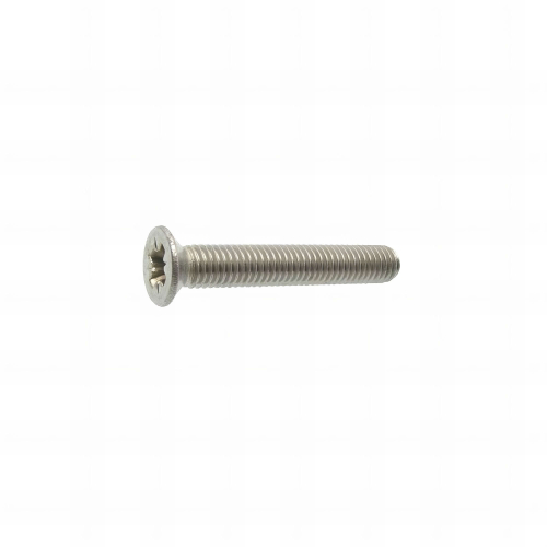 100 Vis métaux tête fraisée pozidriv DIN965 A2 - diamètre 5,0 mm