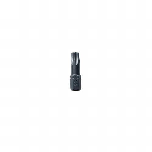 10 embouts forge torx longueur : 25