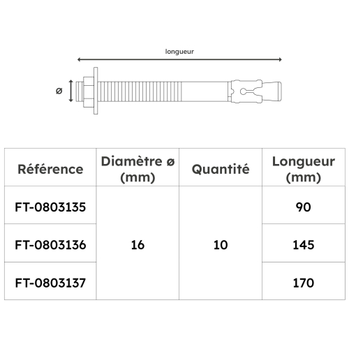 Lot de 10 goujons d'ancrage en acier inox A2 - Diamètre 16 mm
