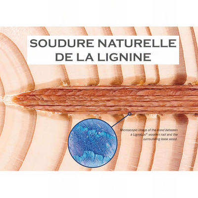 2400 pointes bois d'hêtre en rouleaux Lignoloc D. 4,7 x 75 mm - 16S4775W - Alsafix 2