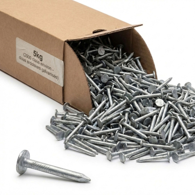 Clous ardoisier tête large - Lot de 5 kg (environ 2500) - galvanisés - diamètre 3 mm