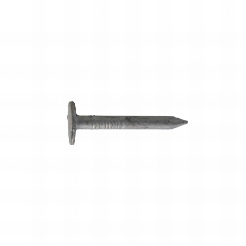 Clous ardoisier tête large - Lot de 5 kg (environ 2500) - galvanisés - diamètre 3 mm