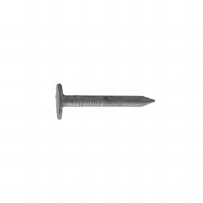 Clous ardoisier tête large - Lot de 5 kg (environ 2500) - galvanisés - diamètre 3 mm