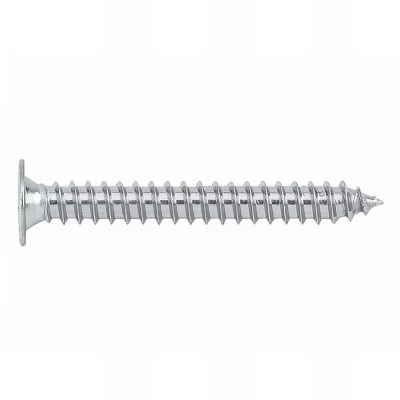 500 vis à tôle PH2, tête extraplate 4,2 x 22 mm zingué pour tôle et PVC - TCPZ4222 - Index