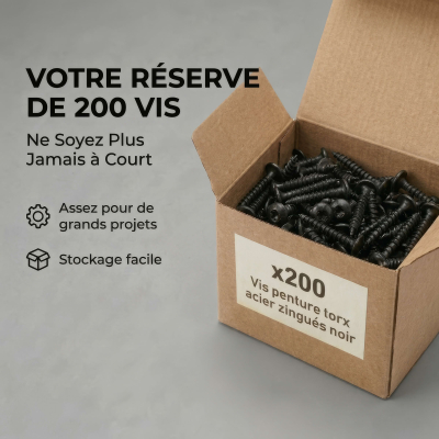 200 vis penture torx acier zingués noir - diamètre de 6 mm