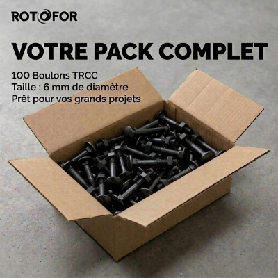 100 Boulons tête ronde collet carré DIN603/555 acier zingués Noir - diamètre 6,0 mm