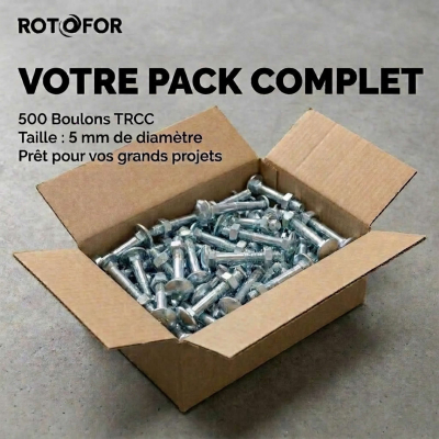 500 Boulons tête ronde collet carré DIN603/555 acier zingués blanc diamètre 5,0 mm