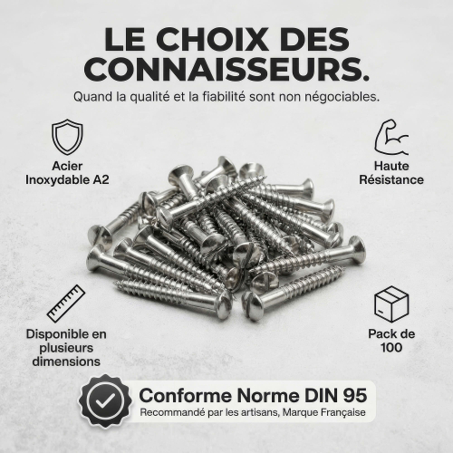 100 Vis Bois tête fraisée bombée fendue DIN95 A2 - diamètre 5,0 mm