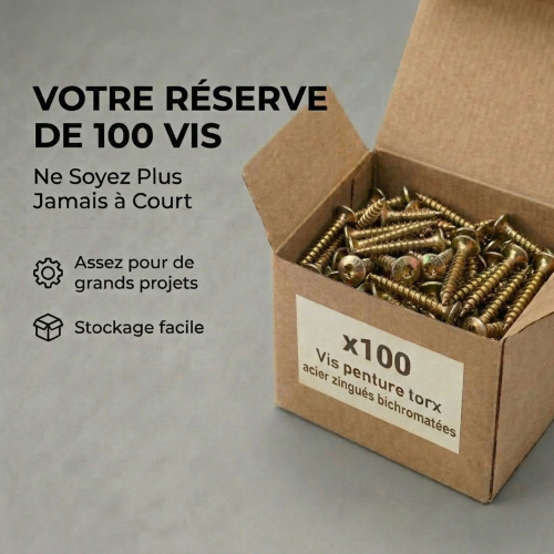 100 Vis Penture Torx acier bichromatées (jaune/or) 7 X 100/70