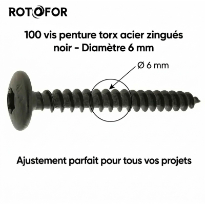100 Vis Penture Torx acier zingués Noir - diamètre 6 mm 2