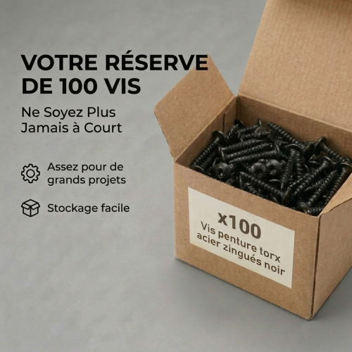 100 Vis Penture Torx acier zingués Noir - diamètre 6 mm