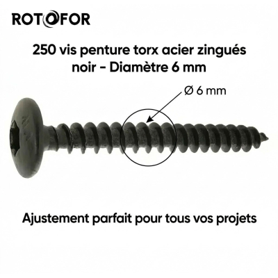 250 Vis Penture Torx acier zingués Noir 6,0 mm - diamètre 6 mm 2