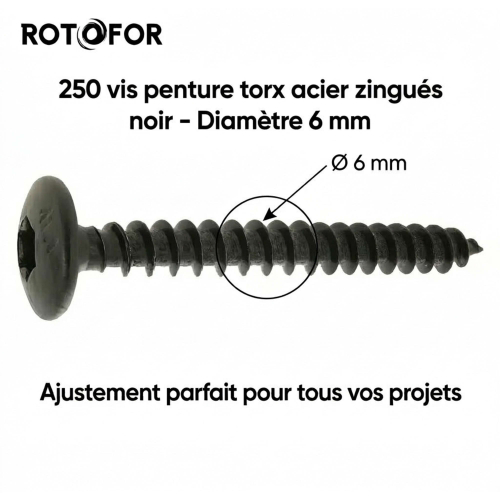 250 Vis Penture Torx acier zingués Noir 6,0 mm - diamètre 6 mm