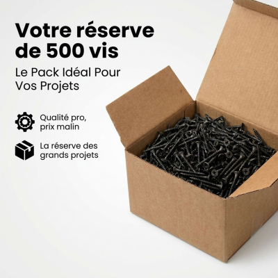 500 Vis Cloison sèche/placo autoperceuse acier phosphaté noir diamètre 4,8 mm