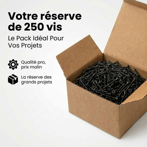 250 Vis Cloison sèche/placo autoperceuse acier phosphaté noir diamètre 4,8 mm