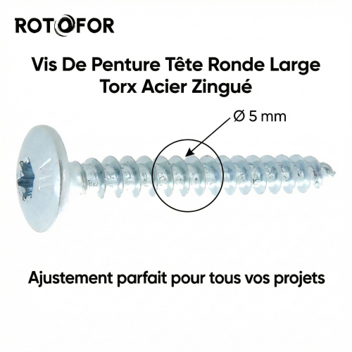 250 Vis Penture Torx acier zingués blanc 5 X 30