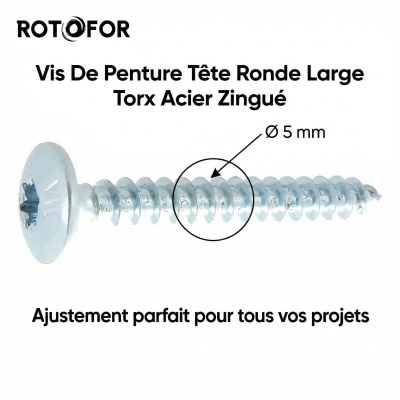 250 Vis Penture Torx acier zingués blanc 5 X 30