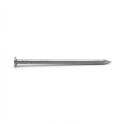Pointe Lisse Alsafix en Vrac Tête Plate (TP) D. 2,5 mm - 1 Kg